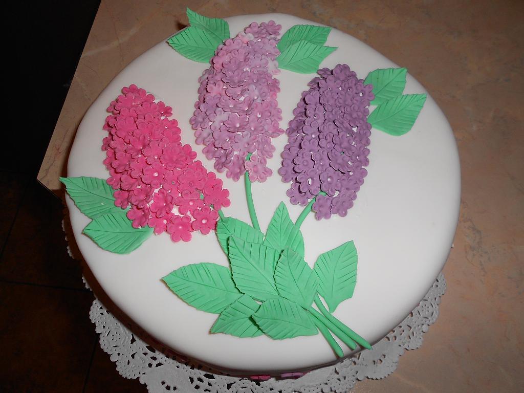 мои тортики