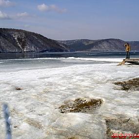 baikal-seal-06