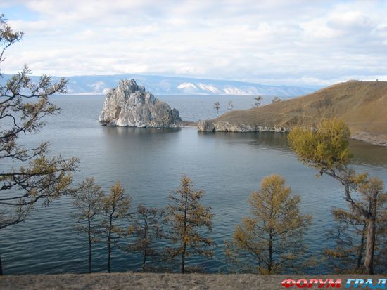 baikal-seal-08