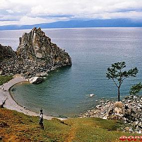 baikal-seal-10