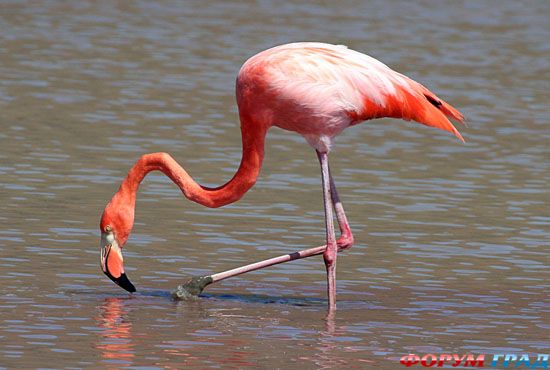 travel-galapagos-islands-01