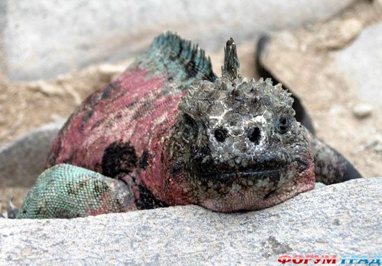 travel-galapagos-islands-06