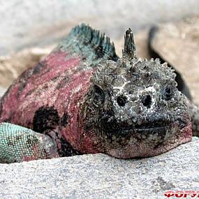 travel-galapagos-islands-06