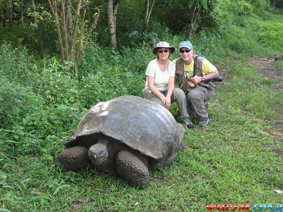 travel-galapagos-islands-08