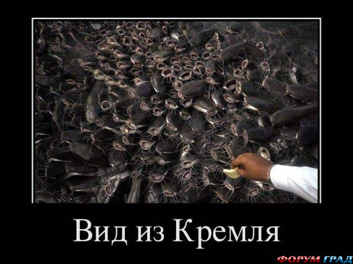 демотиватор вид из кремля