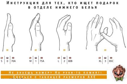 Размер груди