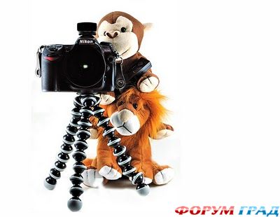 Начинающий свадебный фотограф