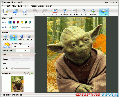 nature illusion studio