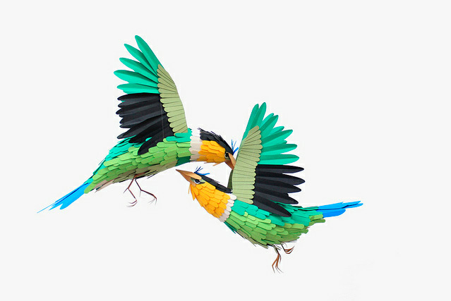 paper-birds-and-wildlife-diana-beltran-herrera-05