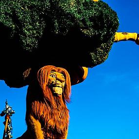 lion-king---disneyland-