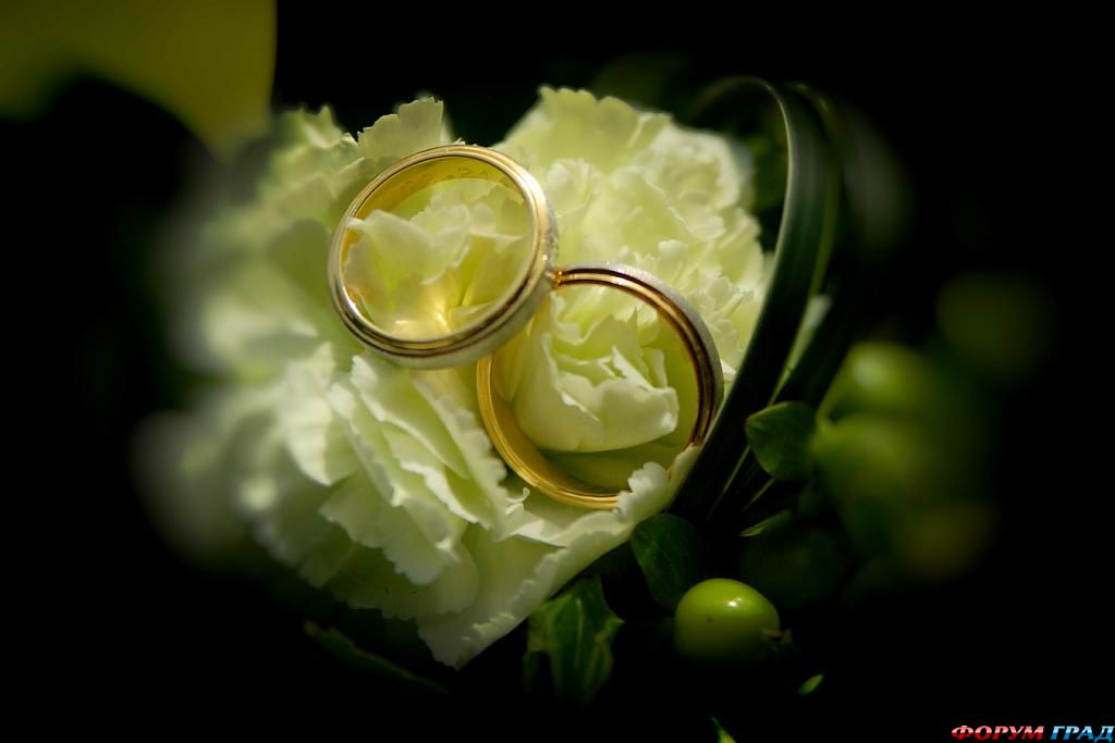 ring-and-flowers-31