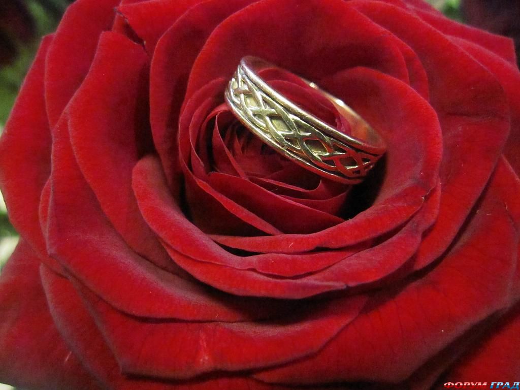 ring-and-flowers-40