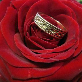 ring-and-flowers-40