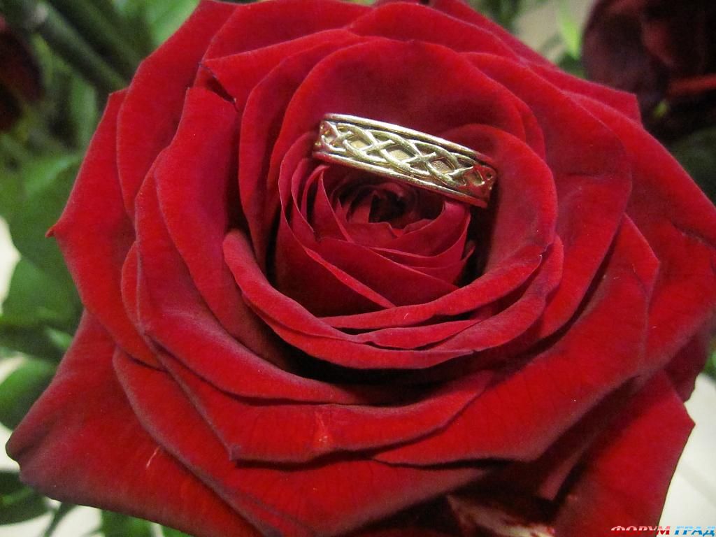 ring-and-flowers-43
