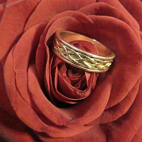 ring-and-flowers-44