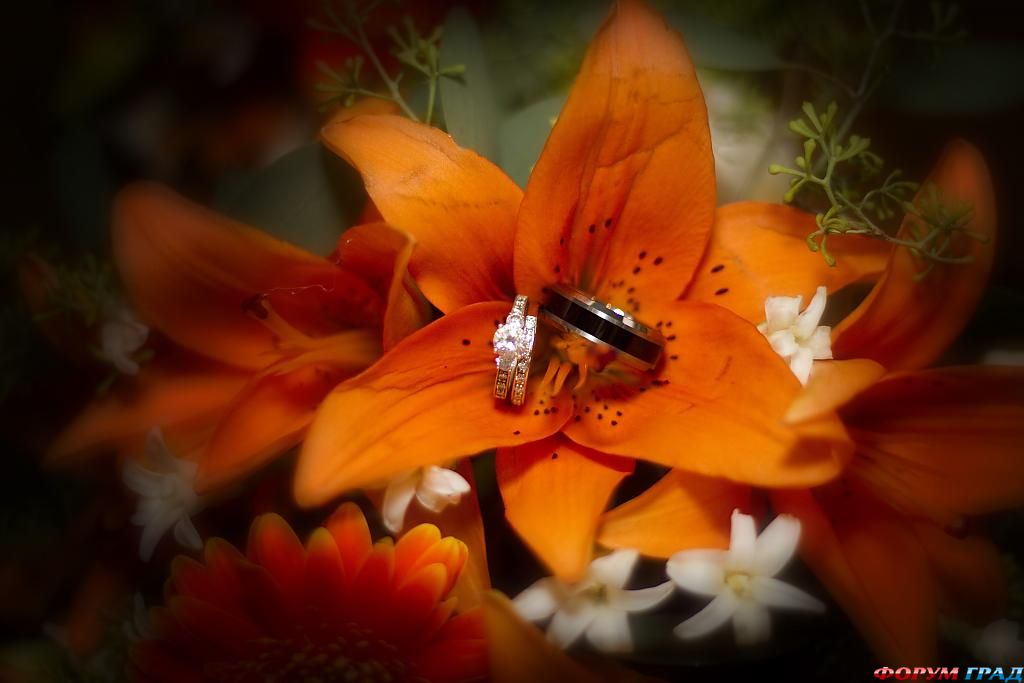ring-and-flowers-45