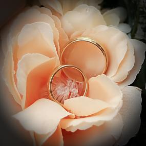 ring-and-flowers-50