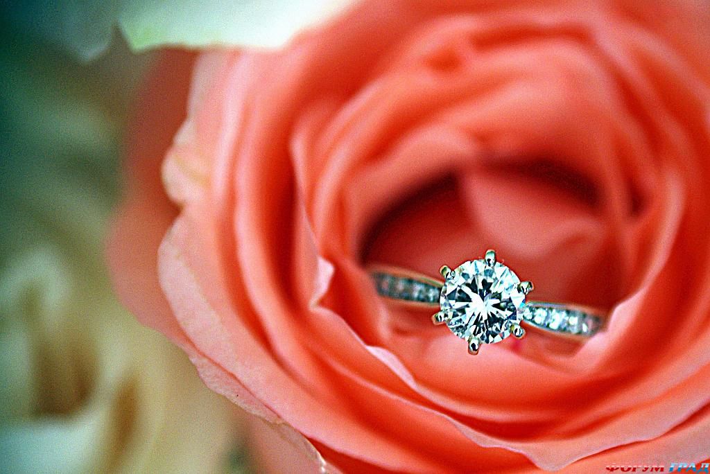 Фото кольца и цветов. Кольцо с цветами. Букет цветов с кольцом. Красивые кольца с цветами.