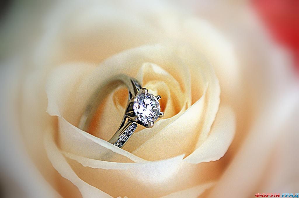 ring-and-flowers-56
