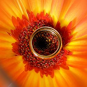 ring-and-flowers-57
