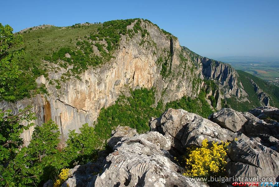 Природа Аркутино