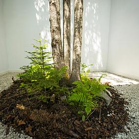 international-garden-festival-03