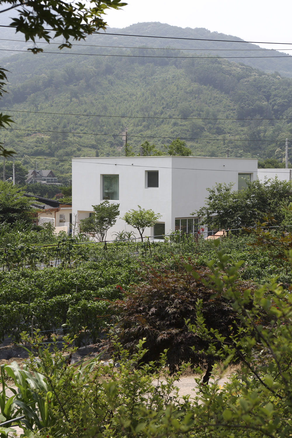 house-by-studio-archiholic-01