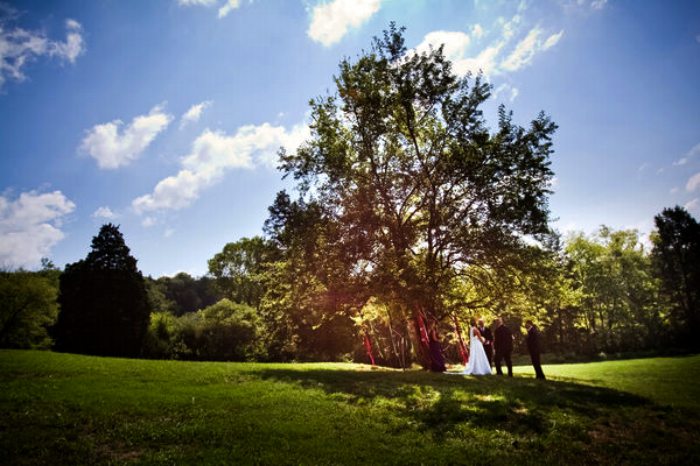 small-wedding-ceremony-at-cedarwood-tree-10