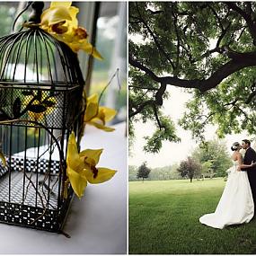 yellow-white-wedding-theme-20