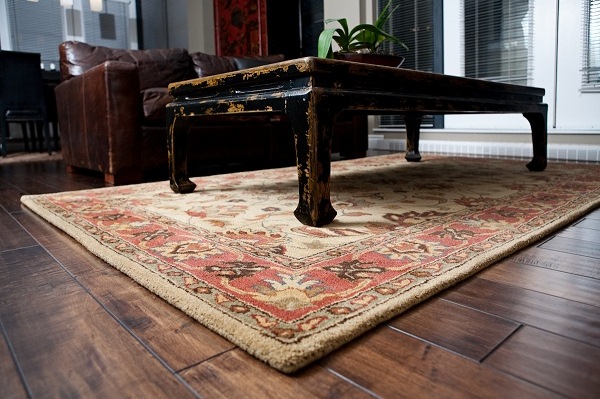 area-rug-draft-02