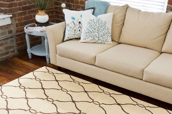area-rug-draft-03