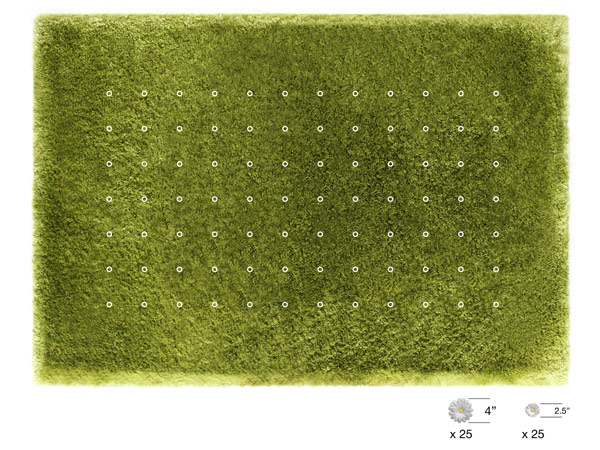 daisy-carpet-joe-jin-4