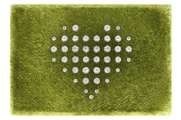 daisy-carpet-joe-jin-5
