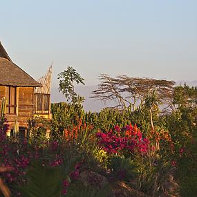 luxury-safari-lodge-kenya-05