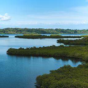 red-frog-beach-rainforest-resort-marina-bocas-07