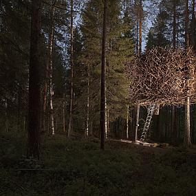 treehotel-the-birds-nest-lulea-sweden-01