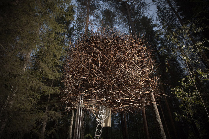 treehotel-the-birds-nest-lulea-sweden-04
