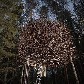 treehotel-the-birds-nest-lulea-sweden-04