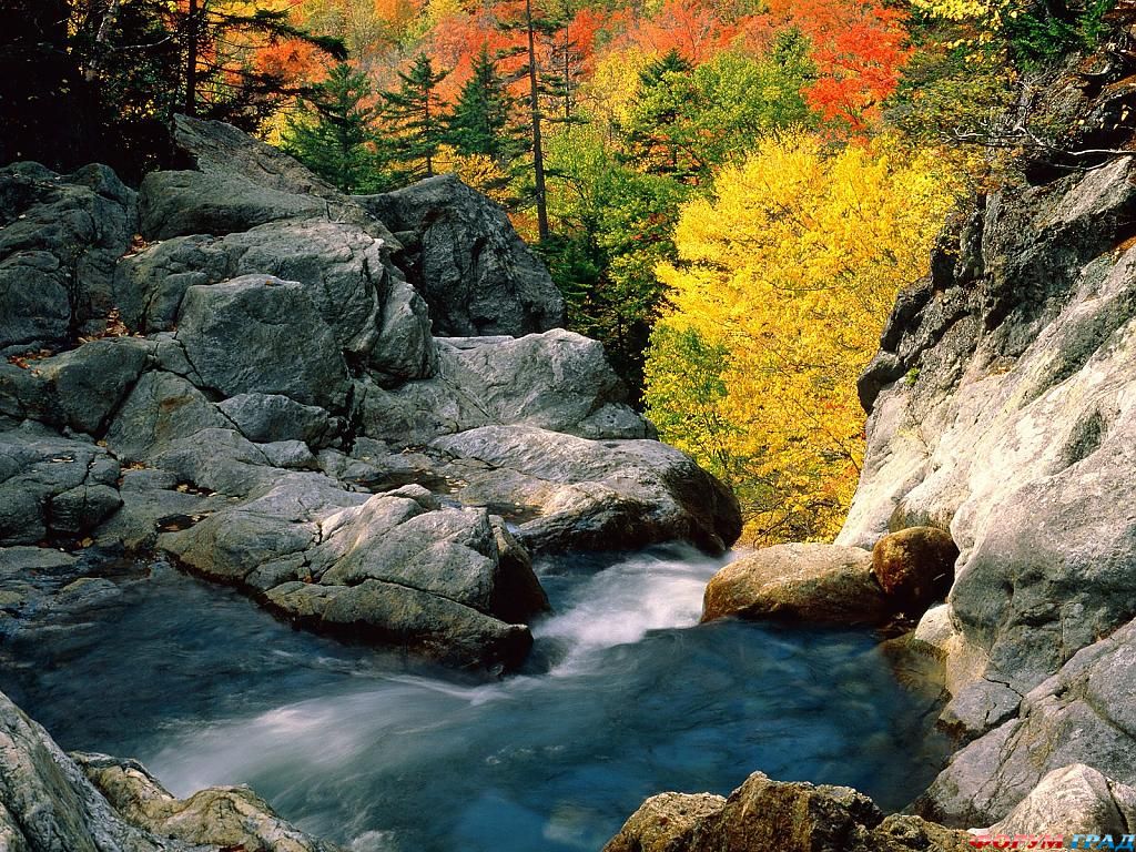 glen ellis falls white mountain national forest25