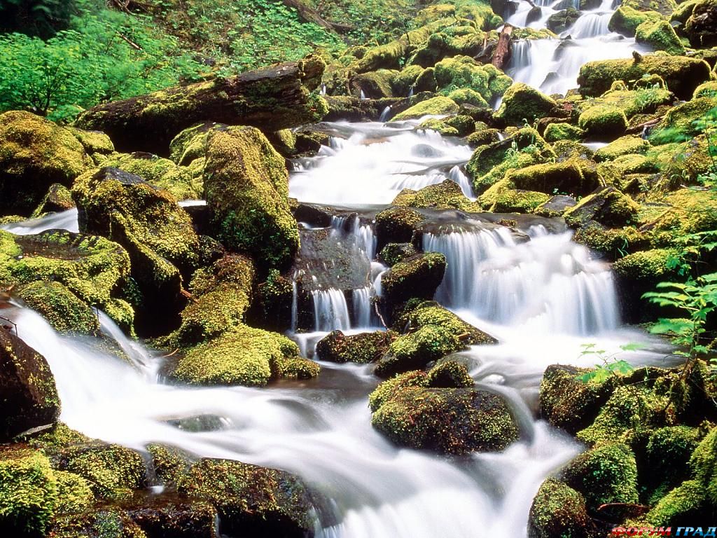 lower proxy falls three sisters wilderness wil41