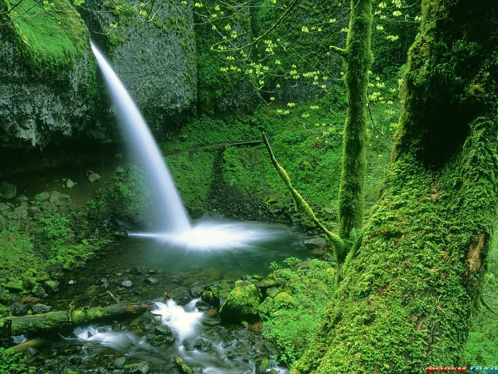 ponytail falls columbia river gorge oregon - 58