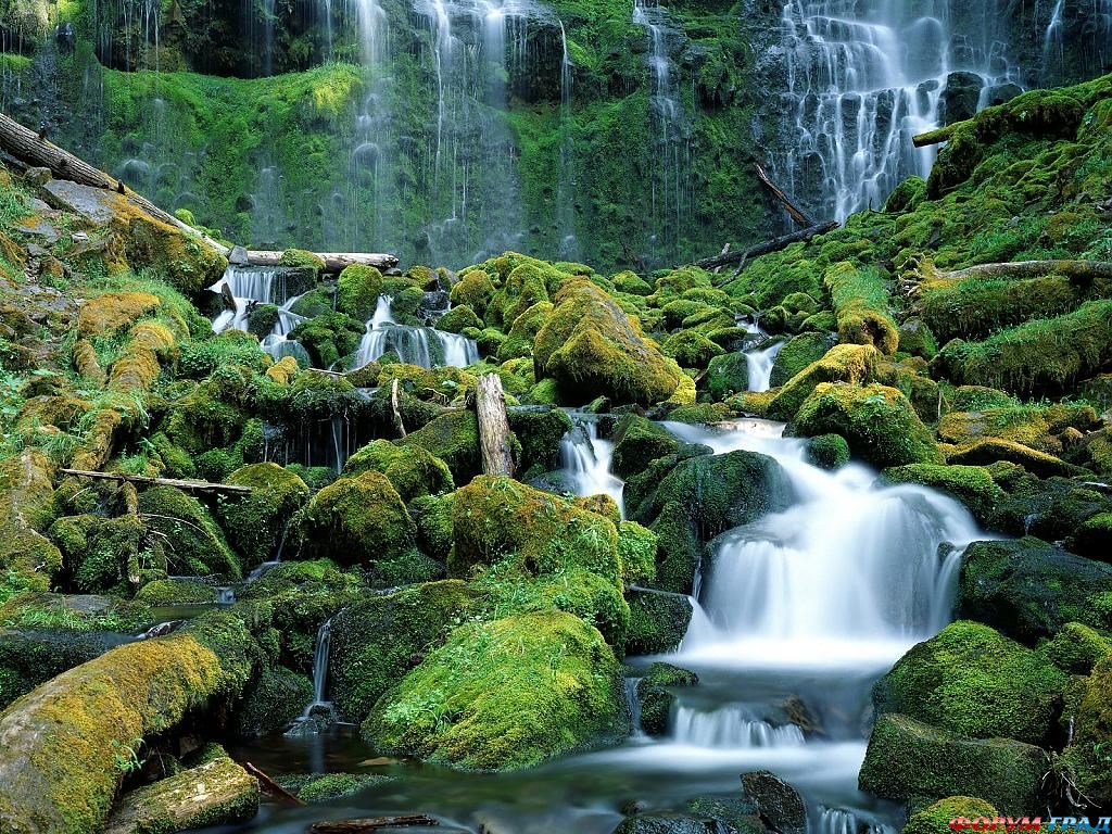 proxy falls cascade range oregon-59