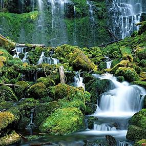 proxy falls cascade range oregon-59