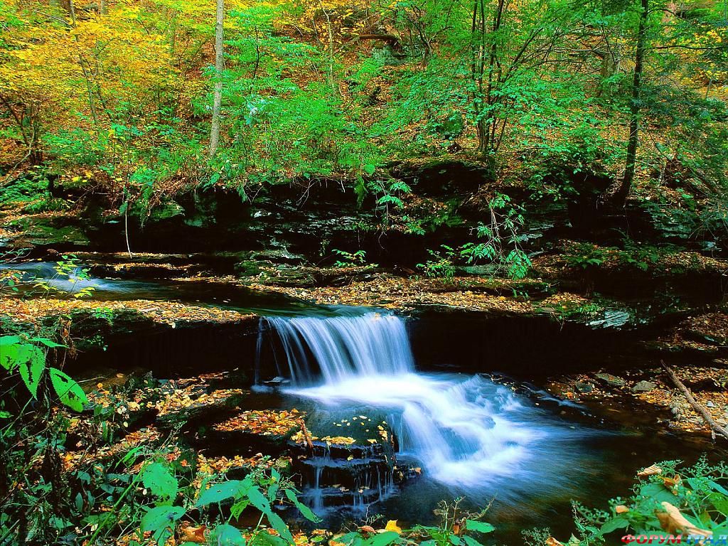 ricketts glen state park pennsylvania - 1600x65