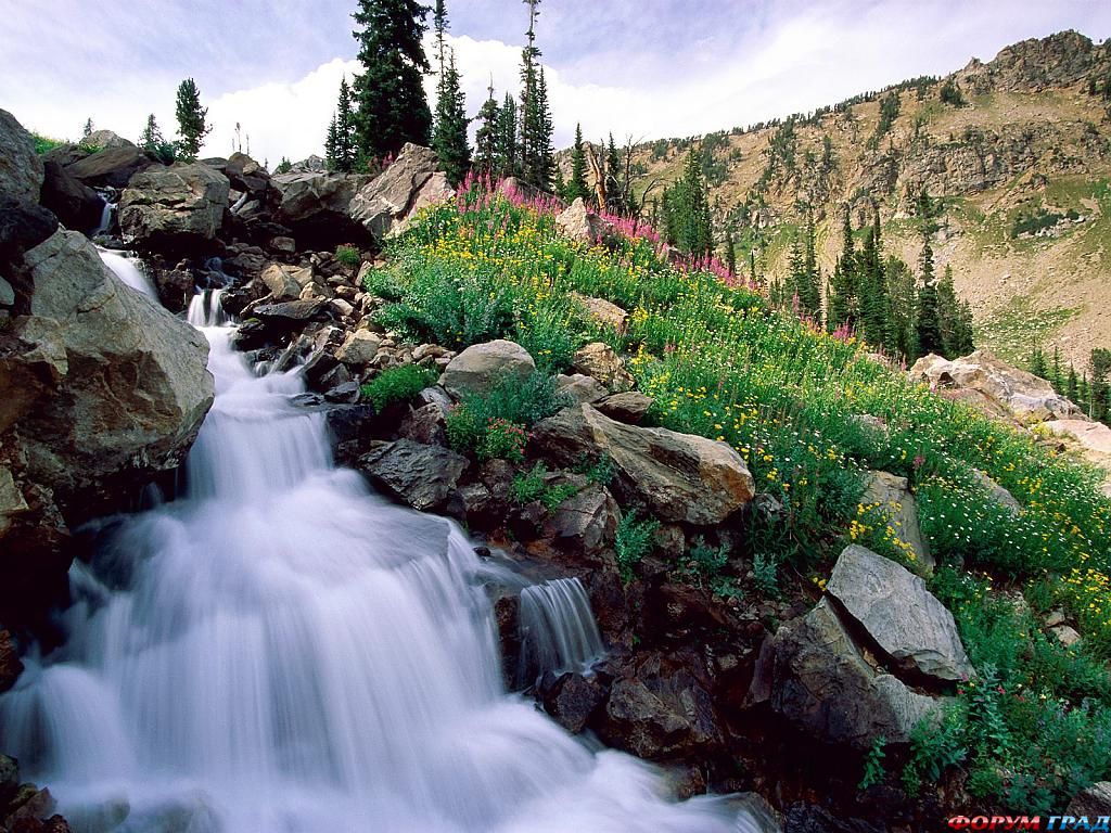 rushing waters of spring grand teton national p67