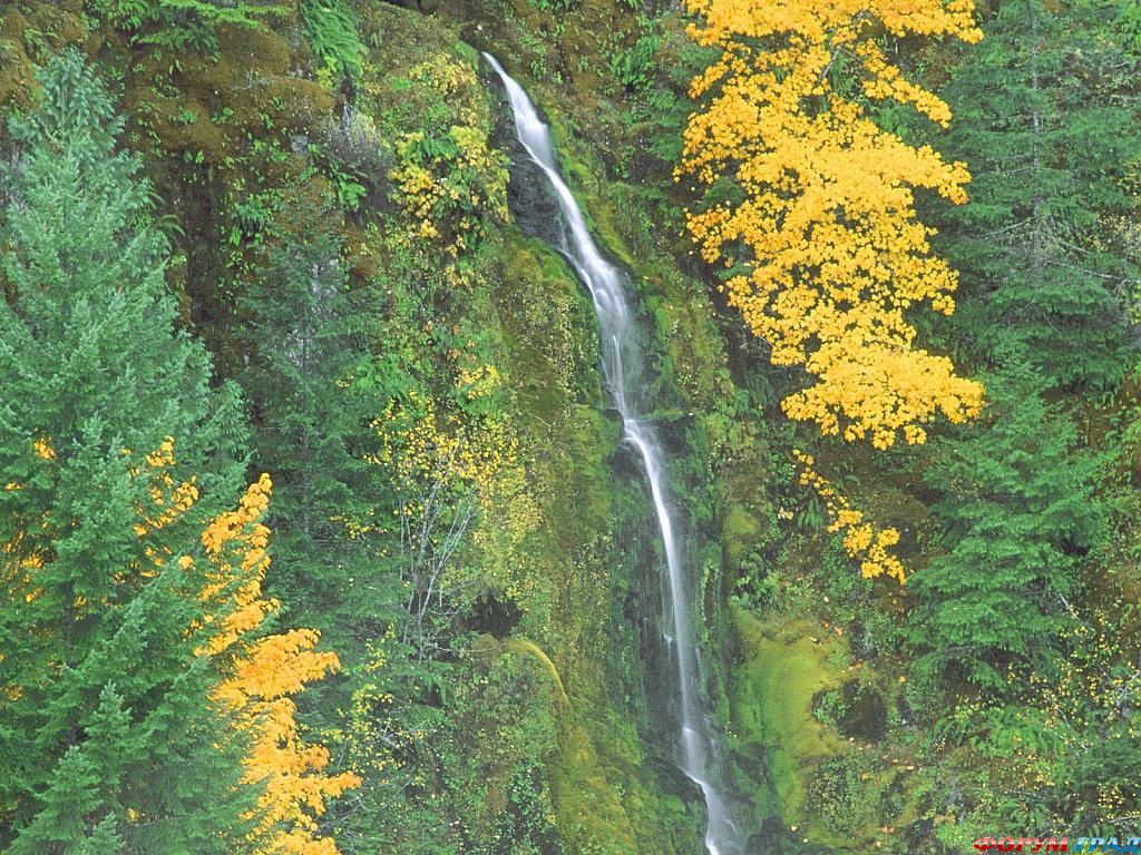 terwilliger hot springs fall oregon