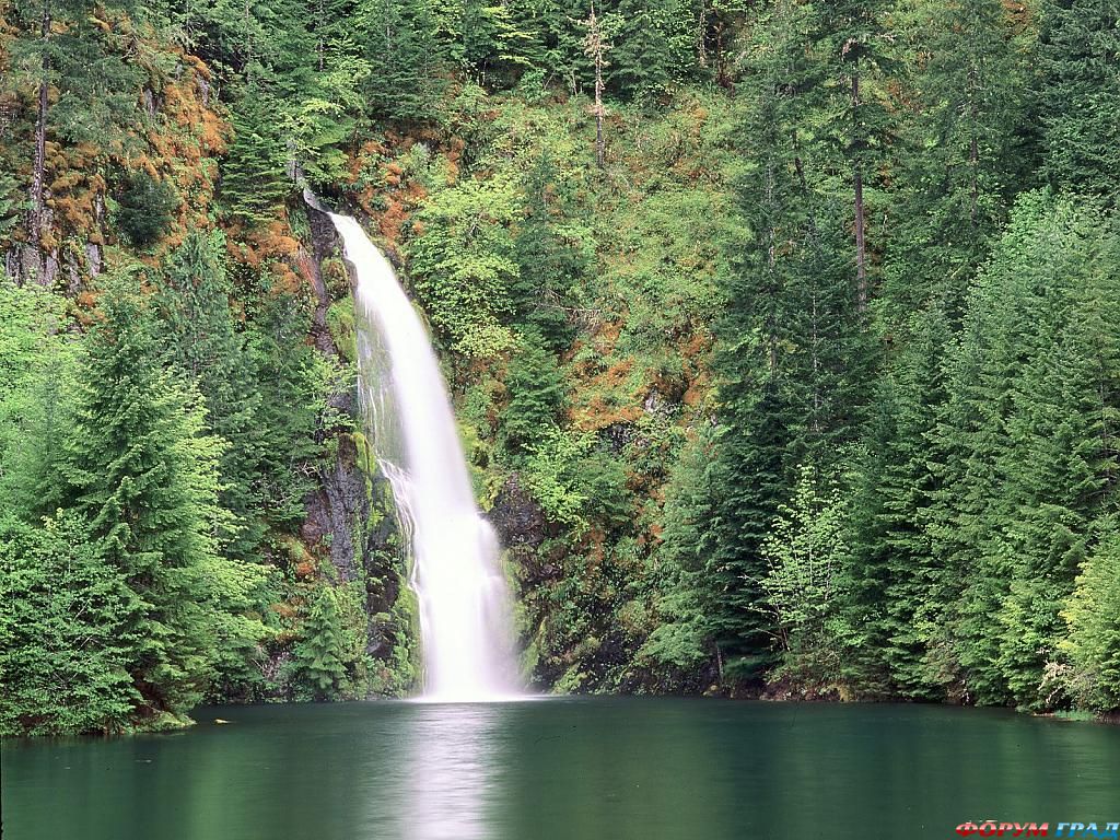 willamette national forest oregon -87