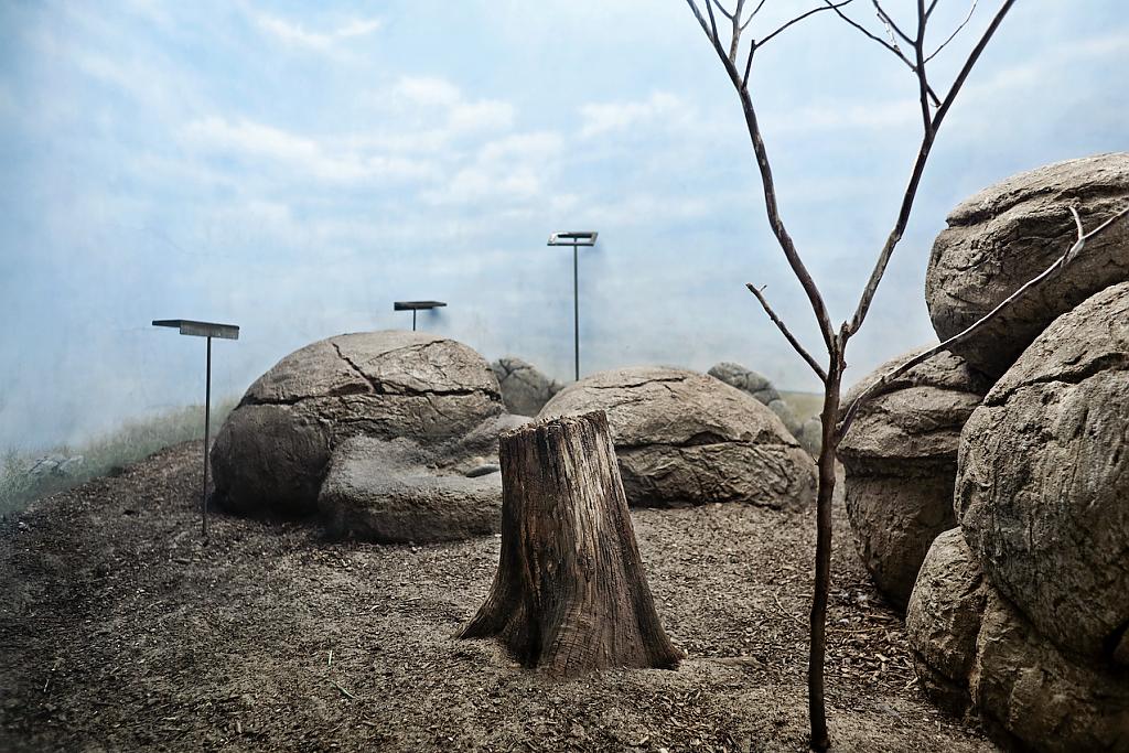 captive-landscapes-by-daniel-kukla-07