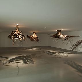 humus-giuseppe-licaris-installation-11