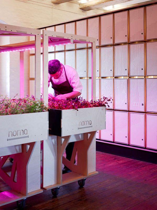 3xn-noma-foodlab-02